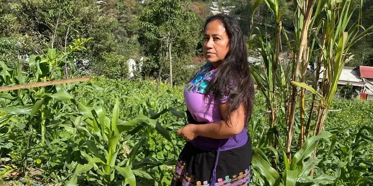 México - Bella Vista - Chiapas - Café de Mujeres -Lavado-1