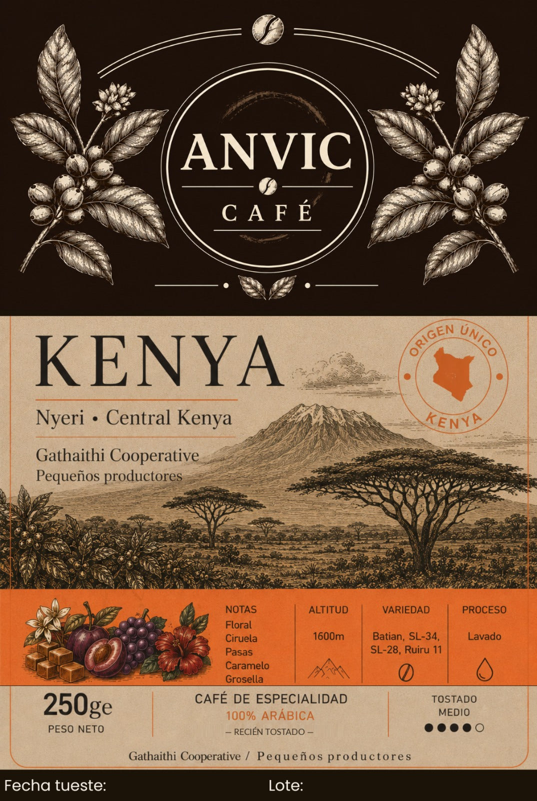Kenya - Nyeri - Kenia Central - Lavado