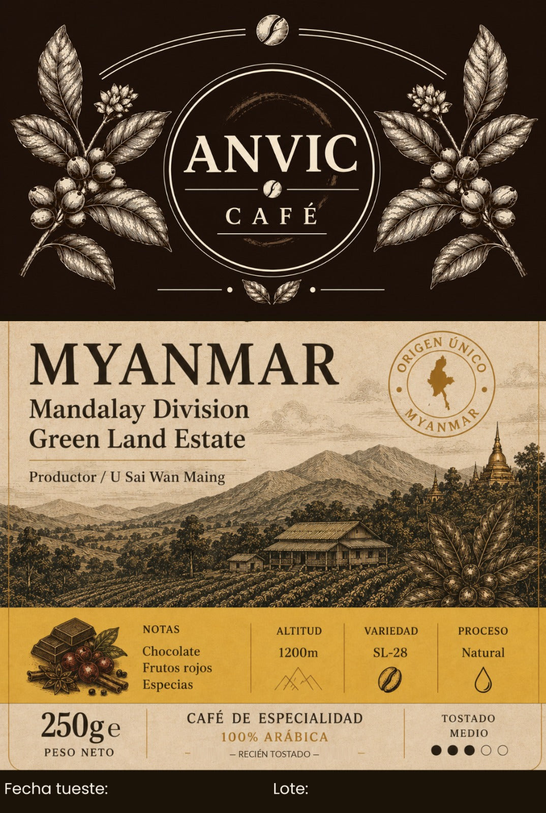 Myanmar -  Pyin Oo Lwin -  Catiguá - Natural