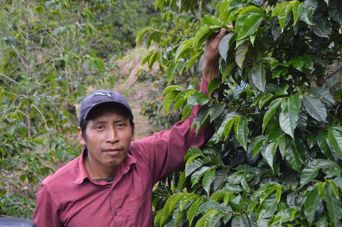 Guatemala - Huehuetenango - Santo Domingo - Lavado-1
